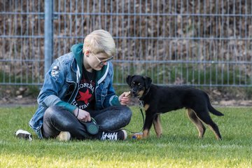 Bild 33 - Frauen SV Boostedt - TSV Aukrug : Ergebnis: 6:2